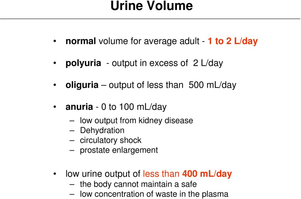 average urine output normal adult