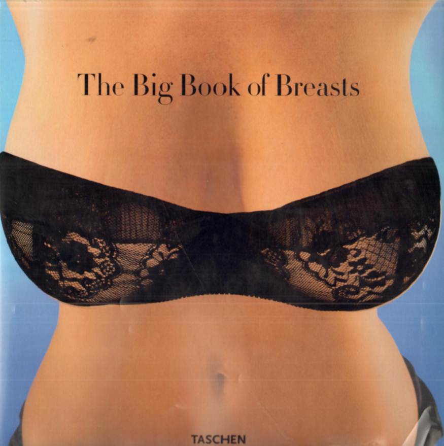 rapidshare book big breasts of