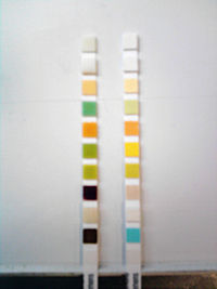 bayer strips for urine test blood